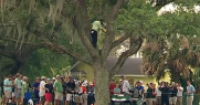 Sergio climbs tree to hit second shot back handed at Bay Hill (VIDEO)