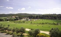 faldo