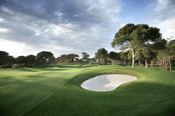 Montgomerie Maxx Royal