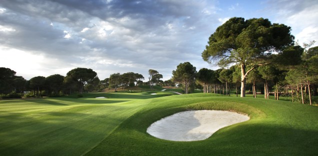 Montgomerie Maxx Royal