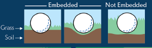 Embedded Ball