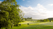 Feature Review Fota Island Golf Club