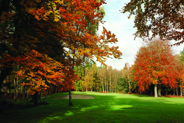 Golf in Normandy