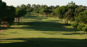 A guide to golf at Pestana Resort