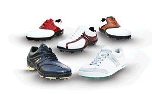 ECCO Men's 2010 Golf Shoe Collection
